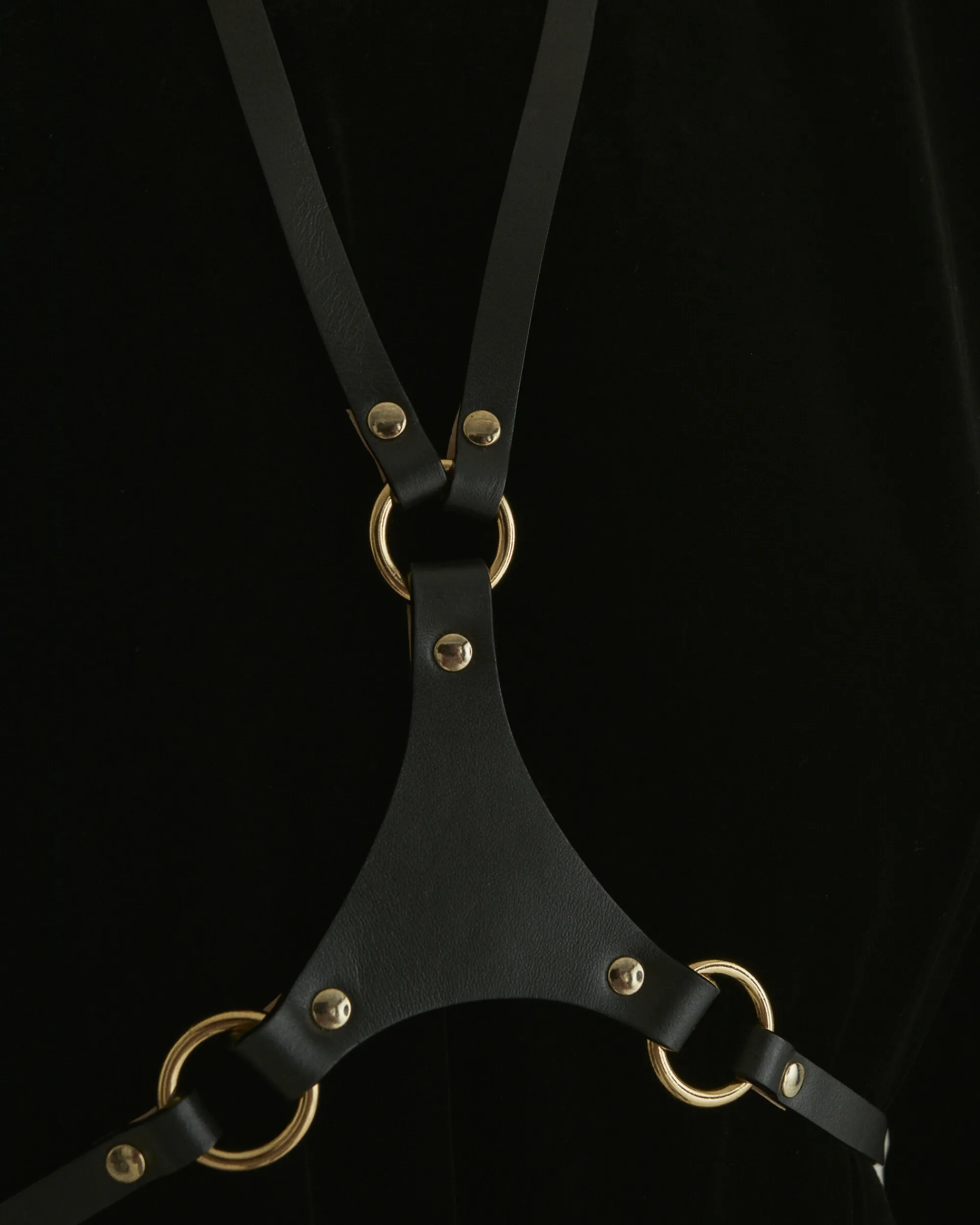 Cheap LEATHER HARNESS Harness & Waspies