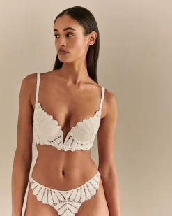 Discount SCOTT AVENUE PADDED BRA Push Up